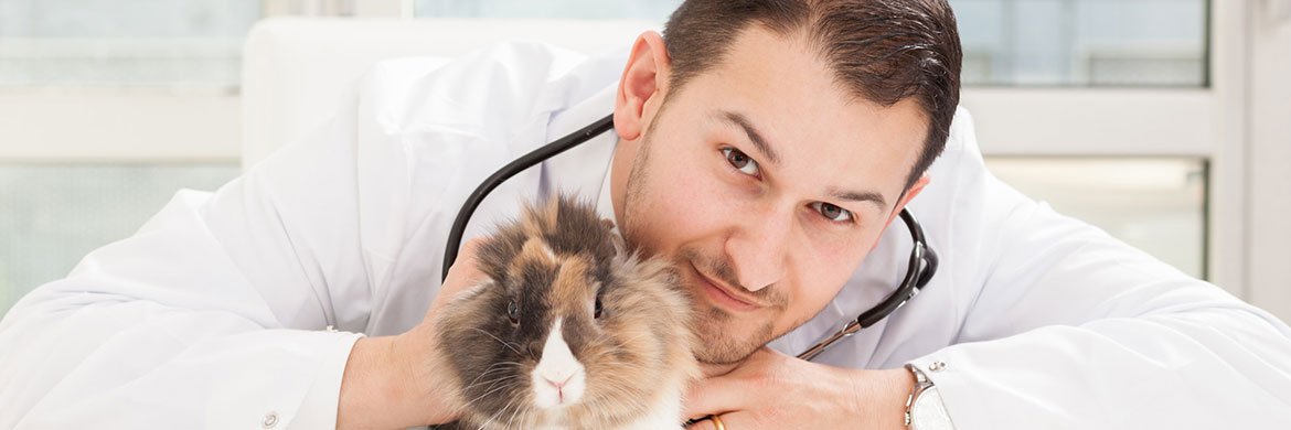 Hospital Veterinario Planeta Vida  - Latacunga Ecuador